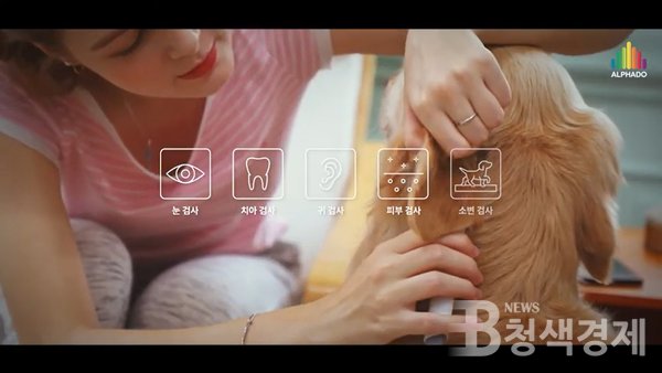 ICT 기술과 펫케어를 접목한 펫테크(Pet tech) 산업이 유행이다/사진 알파도 제공