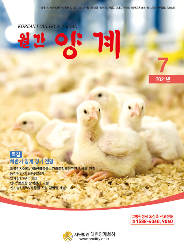 공정위, 대한양계협회 등에 '계란값 담합하면 처벌' 경고장