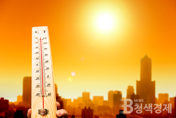 그린피스, "폭염 더 강하고 잦아질 것⋯대선주자들, 기후위기 패키지 공약 제시해야"