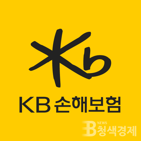 KB KB손해보험/페이스북