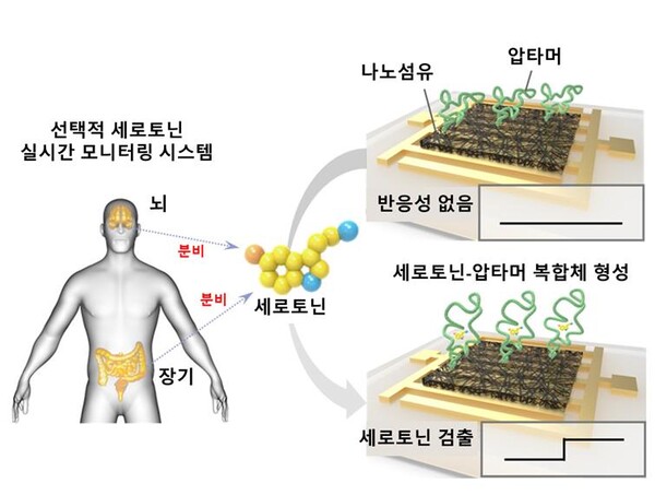전도성 나노섬유 기반의 체내 분비 신경전달물질 실시간 검출 모식도. 이미지=생명연