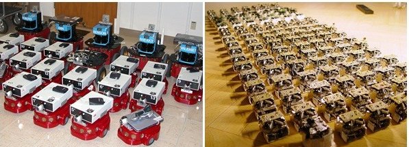 떼지능의 원리를 적용한 센티봇(좌)과 스웜봇(우)