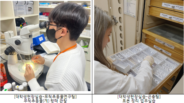 국립생물자원관, 대학생 실습 수료식 개최...생물연구분야 전문가 꿈 키워요