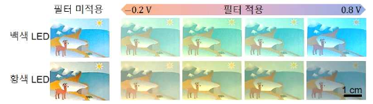 색상이 다른 조명에서도 물체의 색상을 유지 시키는 광필터 [사진=GIST]