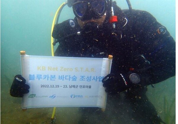 KB국민은행의 남해안 잘피숲 조성사업. 사진=KB국민은행