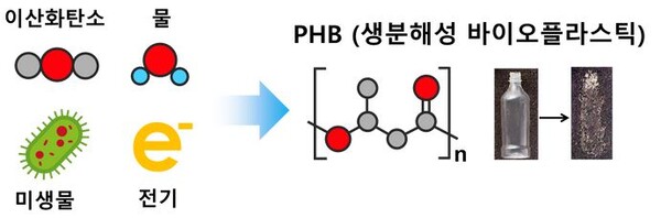 이산화탄소, 물, 미생물, 전기 이용한 생분해성 바이오플라스틱 생산 구조. 사진=KIST 제공
