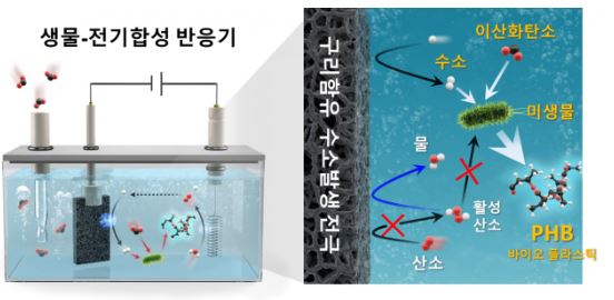 생물-전기 융합기술 개발 그림. 사진=KIST 제공