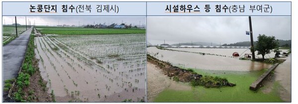 논콩단지와 시설하우스 침수 현장 사진. 사진=농어촌공사 제공