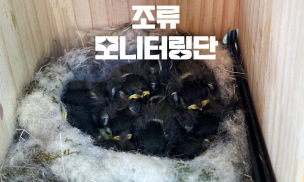 후지필름 코리아가 단국대학교 시민과학 프로젝트 ‘전국 앞마당 조류 모니터링단’ 지원한다. 사진=후지필름코리아