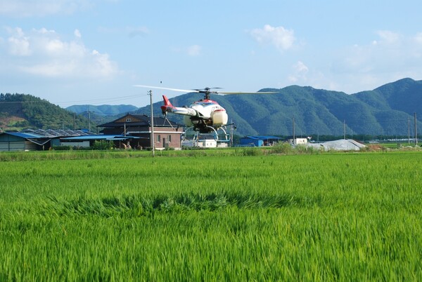 합천군청 보도자료