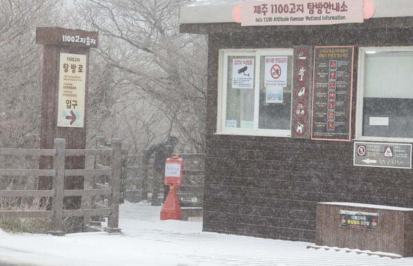 제주도 산지에 대설주의보가 내려진 3일 오전 한라산 1100고지에 폭설이 쏟아지고 있다. 차가운 대륙고기압이 확장하면서 산지를 중심으로 시간당 1~3cm의 눈이 내려 쌓였다. 사진=연합뉴스